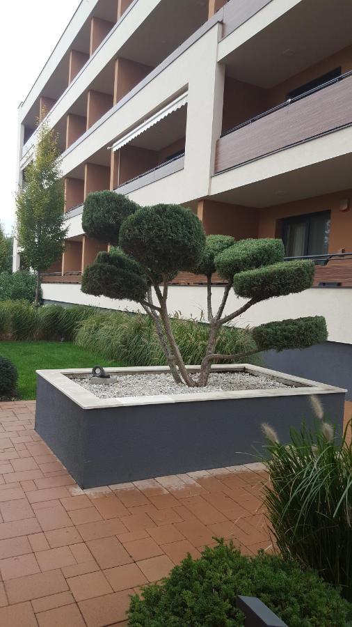 Big Forest Apartman Apartamento Debrecen Exterior foto